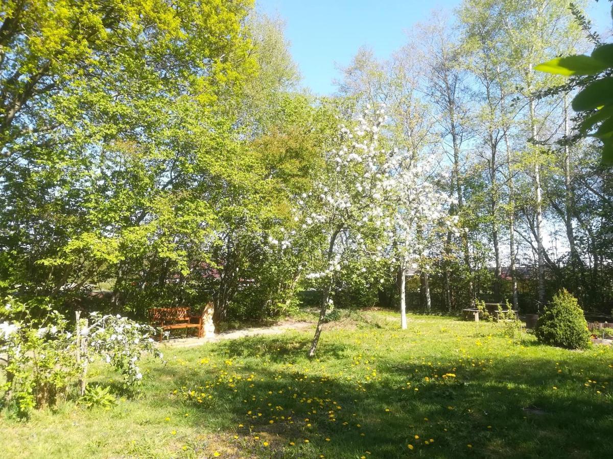 Vegawagen Psyche, Een Sprookje In Coevorden Exterior foto